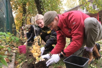 Gražėja daugiabučių kiemai: bendruomenėms dovanojama 3000 krūmų sodinukų