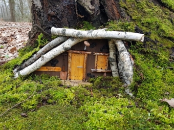Elfų nameliai atsikrausto į VDU Botanikos sodą ir virs ištisu kaimu bei edukacijomis
