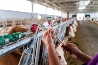 Veterinarinių vaistų įmonė „Amber Aid Medical“ teisme galutinai pralaimėjo