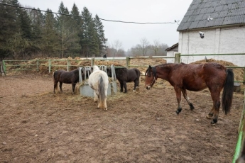 Šiaulių mega projektas už 12 milijonų: valdžios favoritai ir podukros