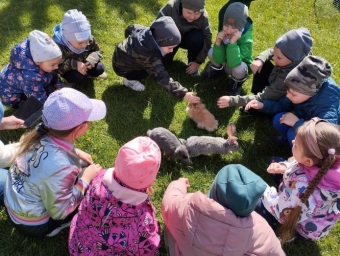 Su gyvulininkyste iš arčiau susipažino 1,5 tūkst. vaikų