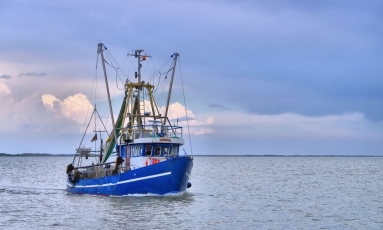 ES griežtinama žvejybos kontrolė