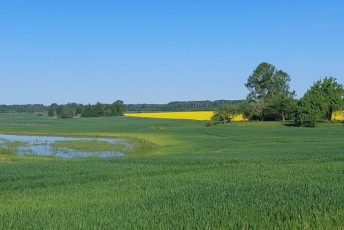 Siekiama mažinti melioracijos statinių savininkams tenkančią naštą