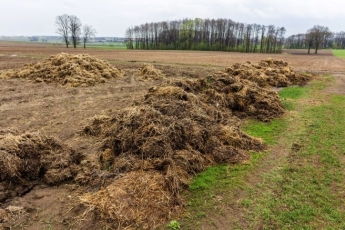 Aplinkosaugininkai apie mėšlo ir srutų tvarkymą bei tręšimo reikalavimus po kovo 20 d.