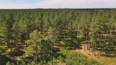 Jau netrukus bus galima teikti paraiškas dėl investicijų į miškininkystės technologijas