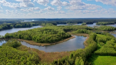 Valdas Kaubrė: vertiname visuomenės įsitraukimą saugant Lietuvos miškus