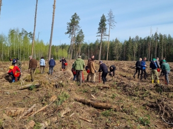 Nacionalinis miškasodis sutelkė tautiečius – pasodinta tiek medelių, kiek Lietuvoje gyventojų – 2,8 mln.