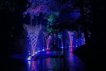 Magiškomis šviesomis užlietas naktinis sodas sutraukė tūkstančius lankytojų iš visos Lietuvos
