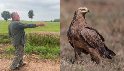 Saugomas paukštis kursto aistras, tačiau niekas jo nėra matę