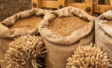 „Agrokoncernas“ galės vykdyti sandorį pašarų gamybos sektoriuje