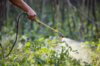 Vyriausybė – už didesnę rinkos apsaugą nuo nelegalių pesticidų