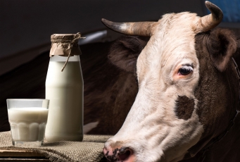 Vidutinės pieno supirkimo kainos ir supirktas pienas: gegužė