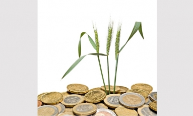 „Baltic Agro“ pajamos pernai augo 61 proc. iki 0,66 mlrd. eurų