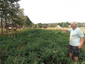 Mieliūnų kaimo parkelis – vieniems prasmė, kitiems – pinigų švaistymas