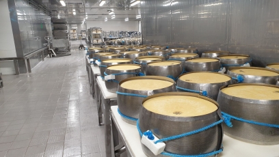 Rokiškio sūrio“ pelnas šiemet sumažėjo 3,2 karto, pardavimai – 12 proc.