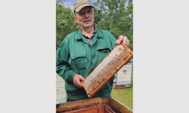 Slavikų bitės – kontrabandininkės