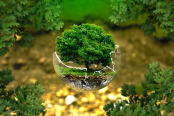Taikomoji ekologija – norintiems inicijuoti tvarumo link vedančius pokyčius