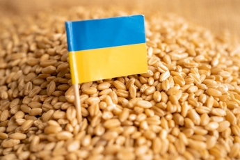 Ukraina tapo trečia pagal dydį žemės ūkio produkcijos tiekėja į ES