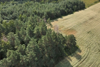 Miškų savininkai jau gauna poveikio aplinkai reikšmingumo išvadas veiklai „Natura 2000“ teritorijose