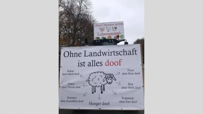 Vokietijoje vykstant protestams ūkininkai blokavo įvažiavimus į pagrindinius šalies uostus