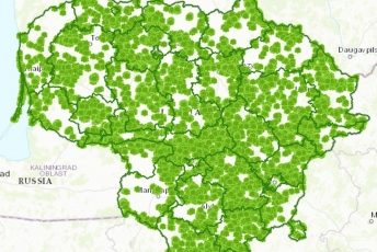 VMU sukūrė reprezentatyvių miškų plotų žemėlapį