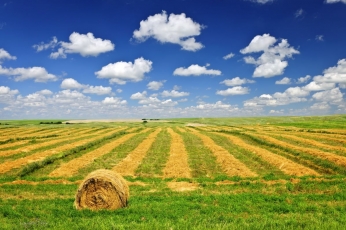 Pirmieji žemės ūkio naudmenų ir kitų plotų deklaravimo rezultatai: didėja dėmesys dirvožemiui