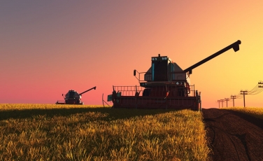 Ukrainos žemės ūkio paskirties žemė: dabar nuosavybę gali įsigyti didelės įmonės