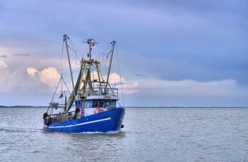 Dėl EK mažinamų žvejybos kvotų Palangoje piketuoja Baltijos šalių žvejai