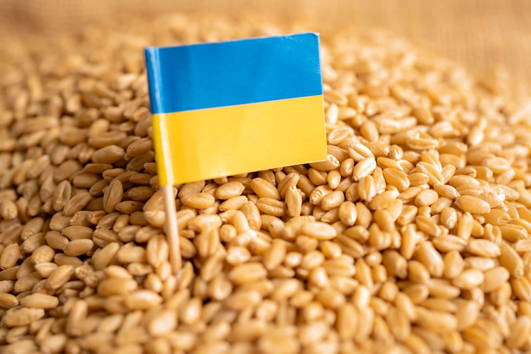 Lenkija ir Ukraina surengė derybas dėl ukrainietiškų produktų importo reguliavimo